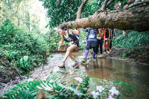 BIB: 
                            <button type="button" onclick="openModal(25477909)" class="btn btn-primary btn-sm float-right btn-popup" data-toggle="modal" data-target=".modal-high-quality">
                        <i class="fas fa-shopping-cart"></i> Add to Cart
                    </button>
                                            <button type="button" onclick="isThisMe(25477909, true)" class="btn btn-success btn-sm float-right btn-popup btn-isme hidden" data-toggle="tooltip" data-placement="bottom" title="นี่คือรูปของคุณใช่ไหม คลิกที่นี่เพื่อเอาเข้าอัลบั้ม">
                        <i class="fas fa-plus"></i> Add to album
                    </button>
                    <button type="button" onclick="isThisMe(25477909, false)" class="btn btn-warning btn-sm float-right btn-popup btn-isnotme hidden">
                        <i class="fas fa-ban"></i> Remove from album
                    </button>